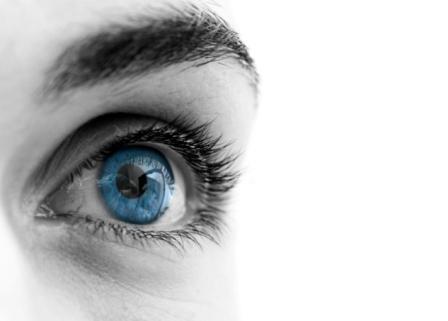 La vision normale est la capacité de bien voir sans effort ce qui nous entoure, de près ou de loin, avec ou sans lunettes.