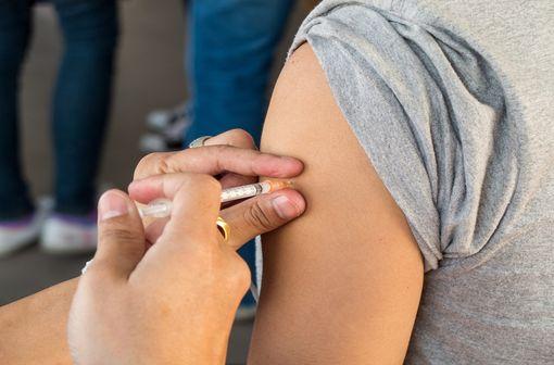 Les doses restantes de VACCIN TETANIQUE PASTEUR sont rendues disponibles uniquement à l'hôpital et dans les centres de vaccination publics (illustration).