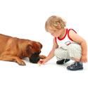 l'enfant et le chien