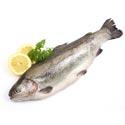 poisson avc
