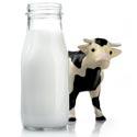 apport calcium