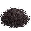 nigelle